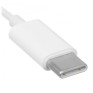 Apple EarPods (USB-C), �����