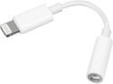 ���������� Lightning - Mini Jack 3.5