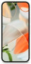 Google Pixel 9 12/128Gb, ����������