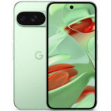 Google Pixel 9 12/128Gb, �������