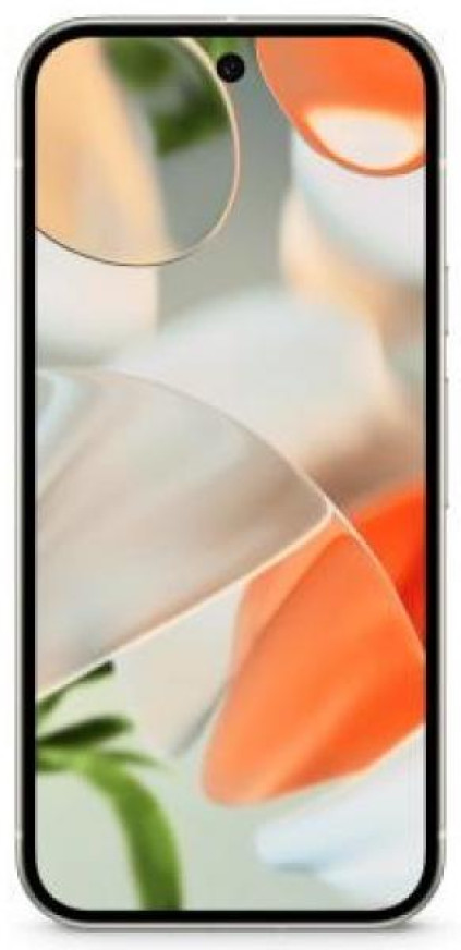 Google Pixel 9 12/128Gb, ����������
