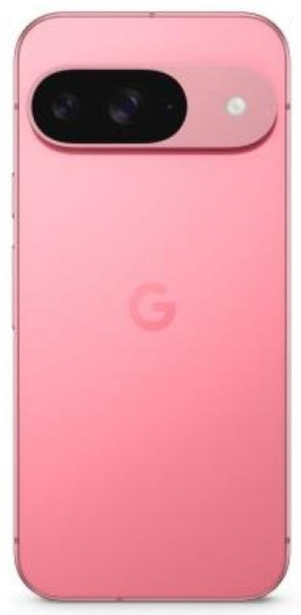 Google Pixel 9 12/128Gb, �������