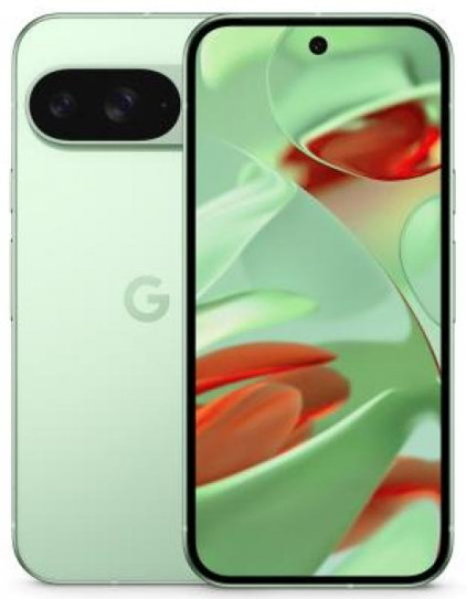 Google Pixel 9 12/128Gb, �������