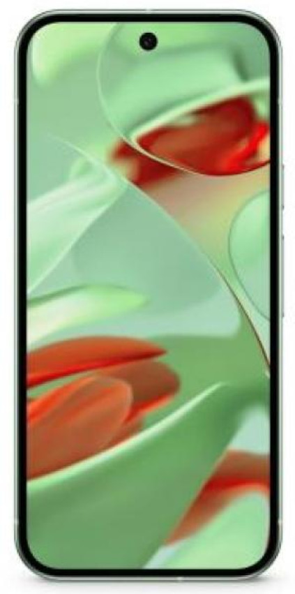Google Pixel 9 12/128Gb, �������