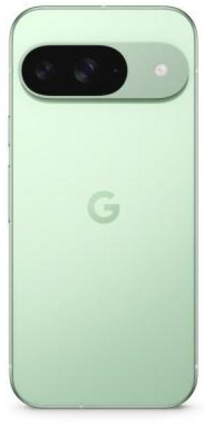 Google Pixel 9 12/128Gb, �������