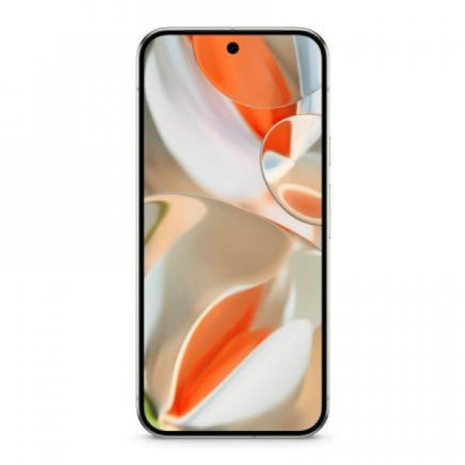 Google Pixel 9 Pro 16/256Gb, ����������