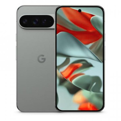 Google Pixel 9 Pro 16/128Gb, �������