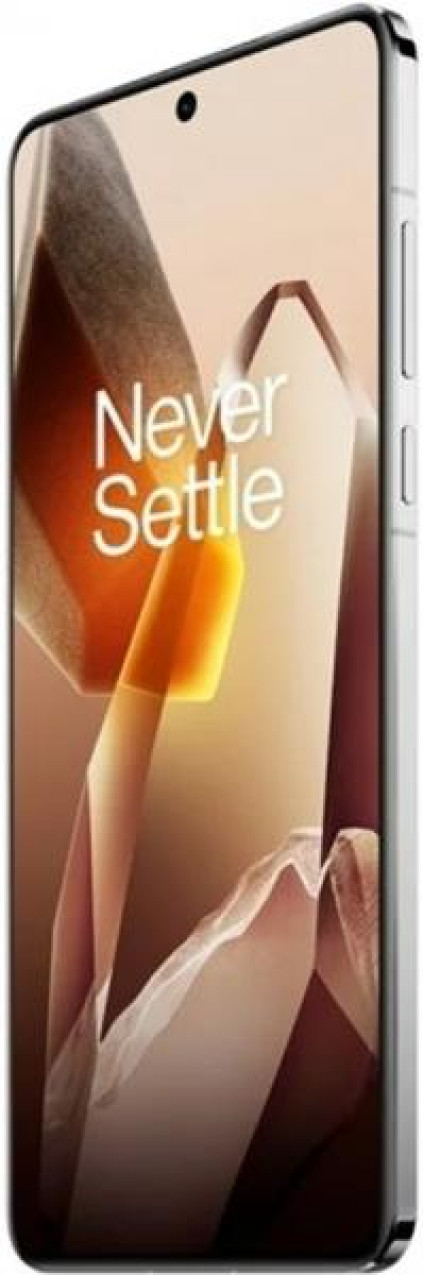OnePlus 13 12/256 ��, �����