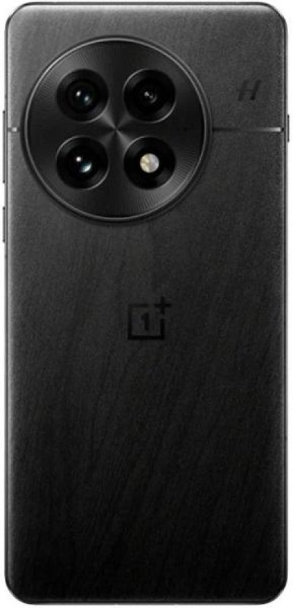 OnePlus 13 12/256 ��, ������