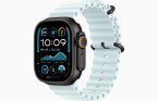 Apple Watch Ultra 2 49 �� Titanium Case, ������/Ice Blue Ocean Band (2024)