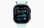 Apple Watch Ultra 2 49 �� Titanium Case, ������/Ice Blue Ocean Band (2024)