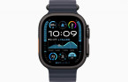 Apple Watch Ultra 2 49 �� Titanium Case, ������/Navy Ocean Band (2024)