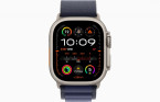 Apple Watch Ultra 2 49 �� Titanium Case, ���������/Navy Alpine Loop (2024)