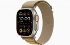 Apple Watch Ultra 2 49 �� Titanium Case, ���������/Tan Alpine Loop (2024)