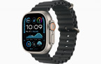 Apple Watch Ultra 2 49 �� Titanium Case, ���������/Black Ocean Band (2024)