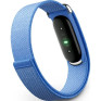 Google Fitbit Air, �������