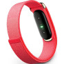 Google Fitbit Air, �������