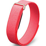 Google Fitbit Air, �������