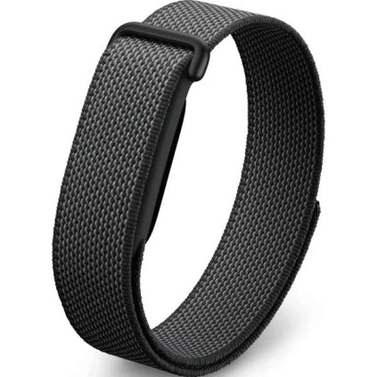 Google Fitbit Air, ������