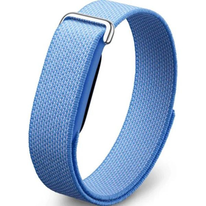 Google Fitbit Air, �������