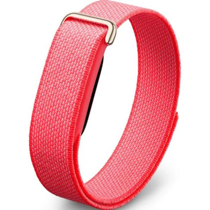 Google Fitbit Air, �������