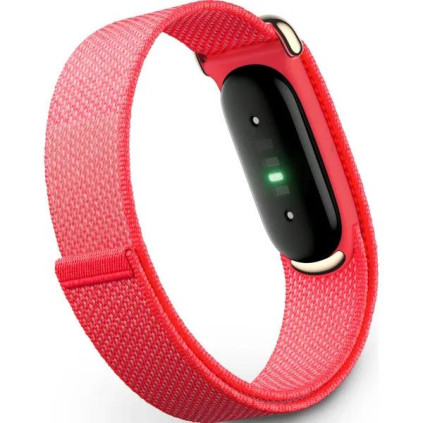 Google Fitbit Air, �������