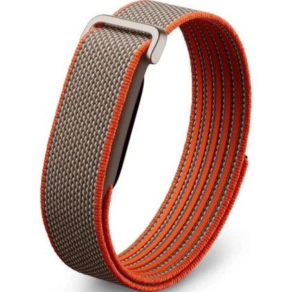 Google Fitbit Air, Stephen Curry